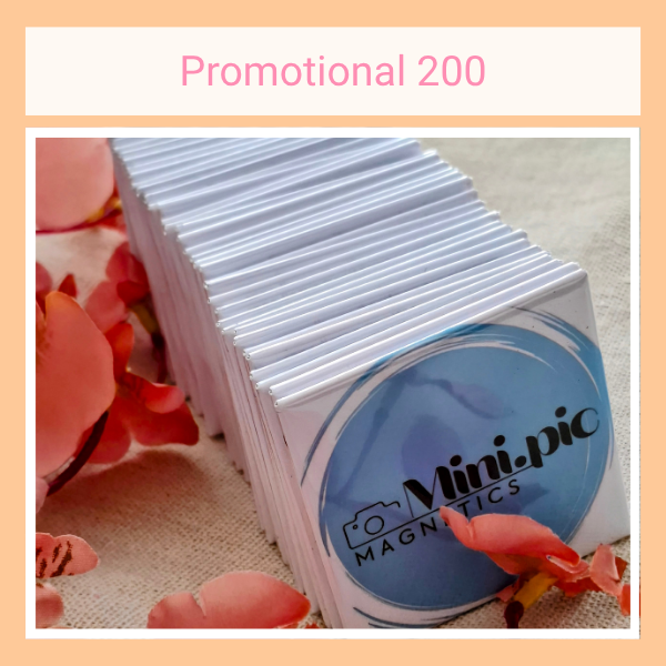 Custom Promotional Magnets