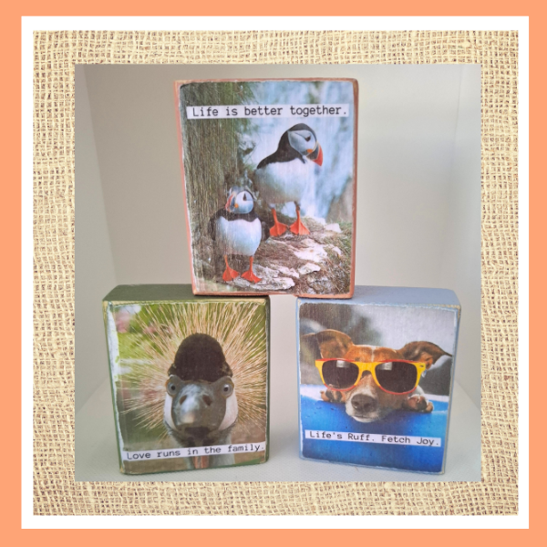 Funny Animal Desk Sitters