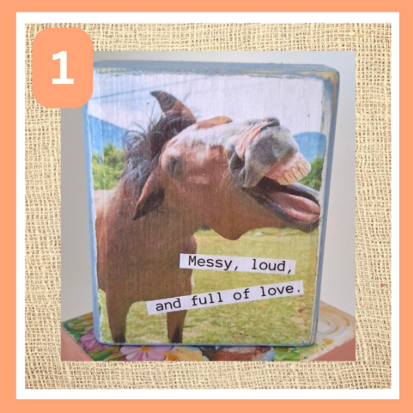 Funny Animal Desk Sitters