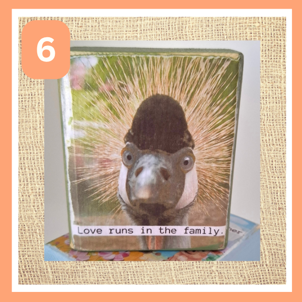 Funny Animal Desk Sitters