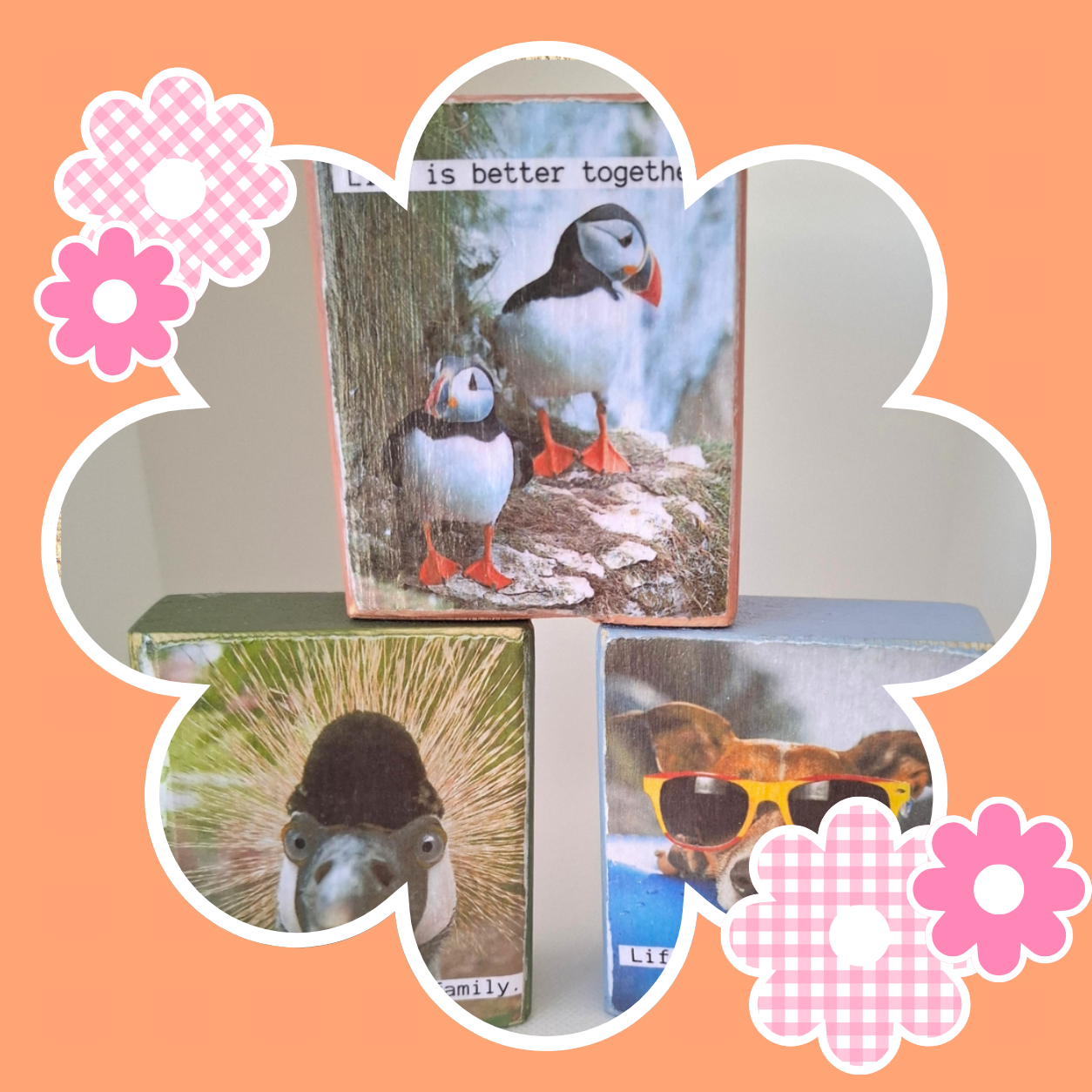 Funny Animal Desk Sitters